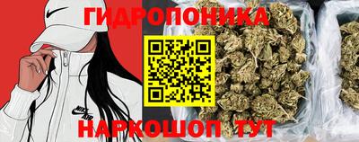 гашишное масло Камышлов