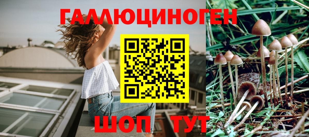 Псилоцибиновые грибы GOLDEN TEACHER Красный Сулин