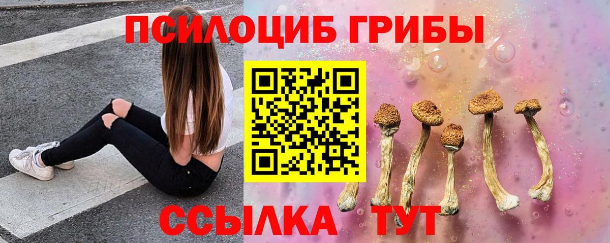 Красный Сулин  Галлюциногенные грибы мухоморы  Вход с VPN 